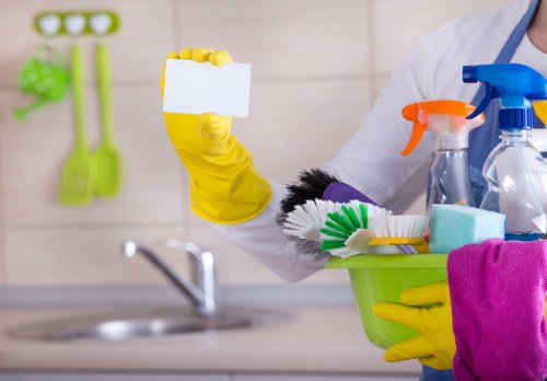 Professional pet stain odour removal in Purley for carpets