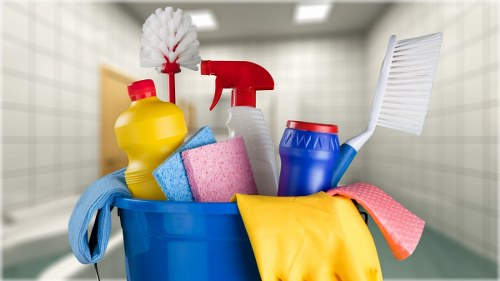 Professional carpet cleaning service in Purley focused on care and quality
