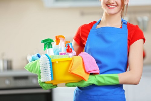Steam carpet cleaning equipment in a Purley home