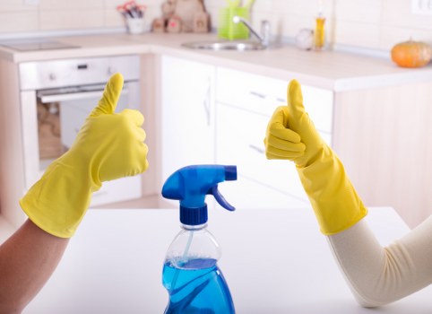 Professional response to a cleaning service issue