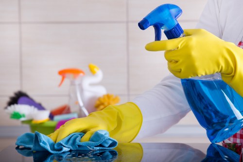 Carpet cleaning quote discussion for a Purley home interior