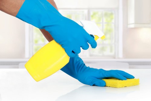 Carpet cleaning safety policy introduction with focus on risk awareness