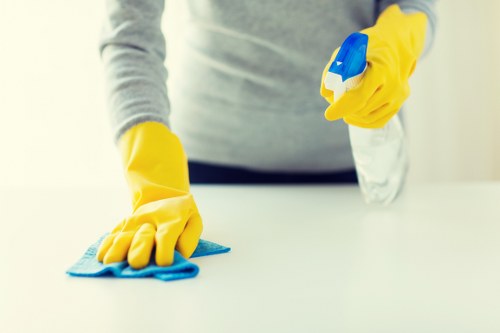 Pricing explanation for domestic and commercial carpet cleaning