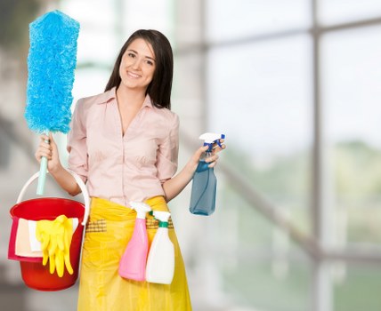 Clean and hygienic interior after pet odour treatment in Purley