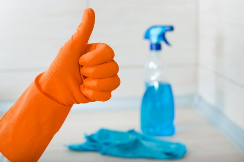 Professional carpet deep cleaning in a Purley property