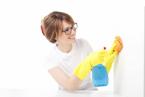 Keyboard navigation and accessibility support for Purley Carpet Cleaners
