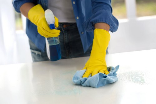 Freshening a home after pet accidents in Purley